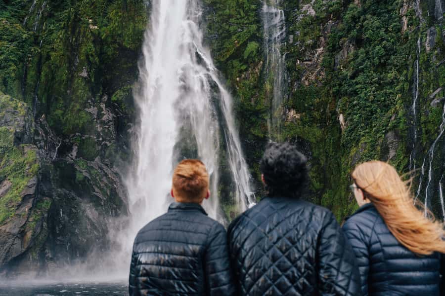 From Queenstown: Milford Sound Cruise and Scenic Drive - What you see from the Milford Sound cruise