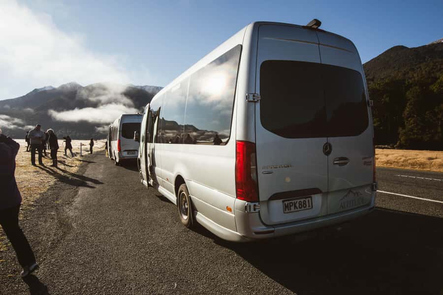 From Queenstown: Milford Sound Cruise and Scenic Drive - Wildlife on the water