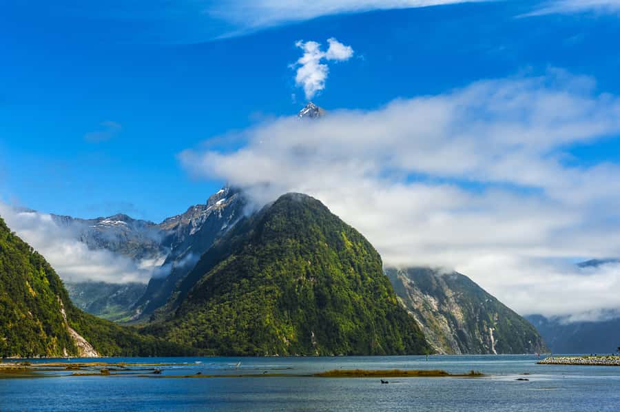 From Queenstown: Milford Sound Cruise & Scenic Coach Tour - Upper Hollyford Valley and Christie Falls