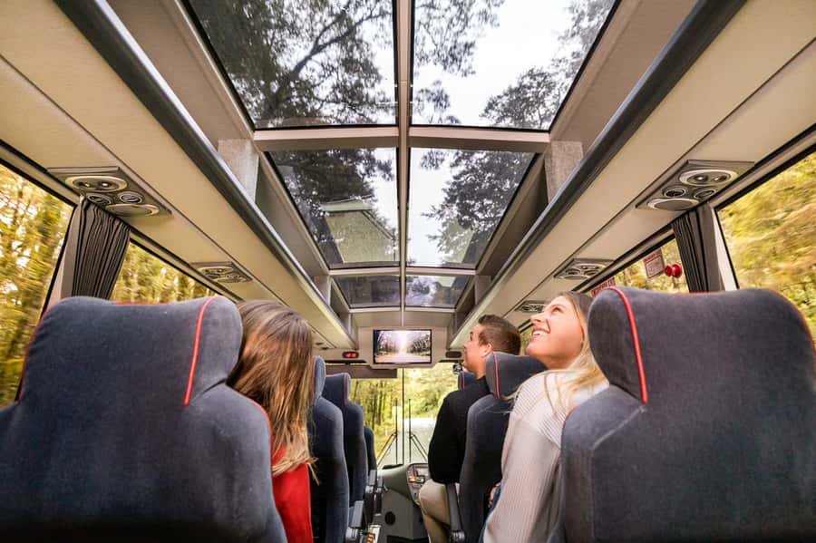 From Queenstown: Milford Sound Day Trip on Premium Coach - Key points to know before you book