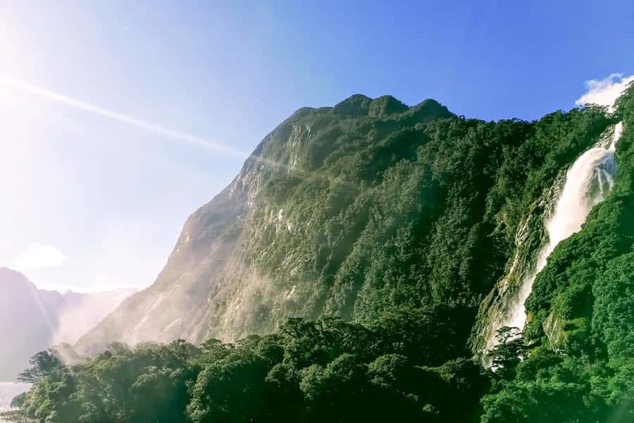 From Queenstown: Milford Sound Premium Day Tour and Cruise - Is $170 good value?
