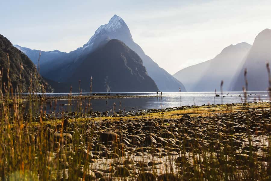 From Queenstown: Milford Sound Scenic Flight & Nature Tour - What the $328 price buys you