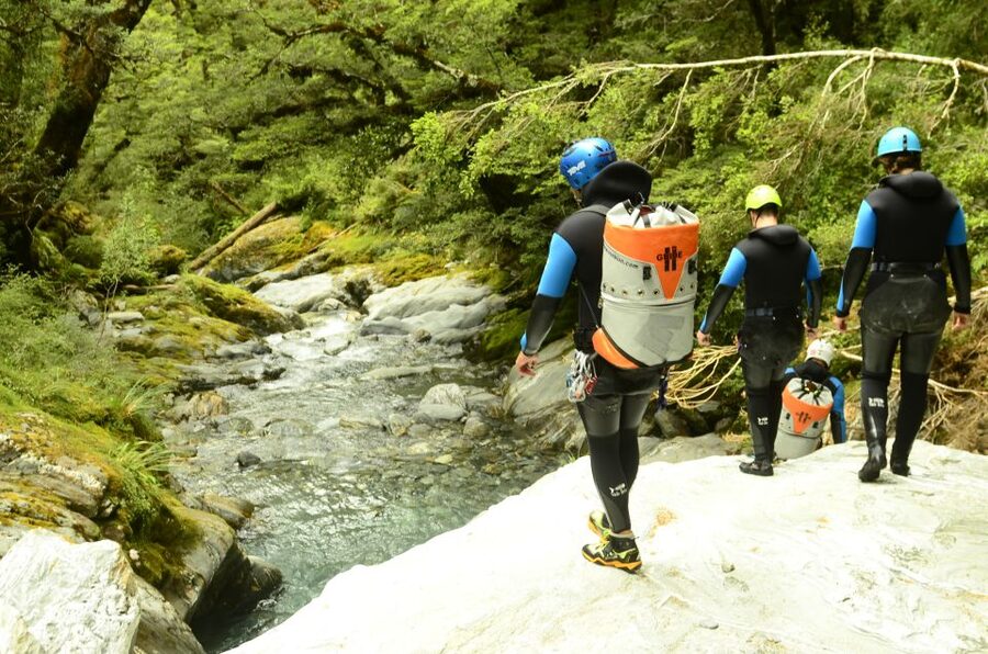 From Queenstown: Mount Aspiring Full-Day Canyoning Adventure - The scenery: beech forest, alpine water, and high peaks