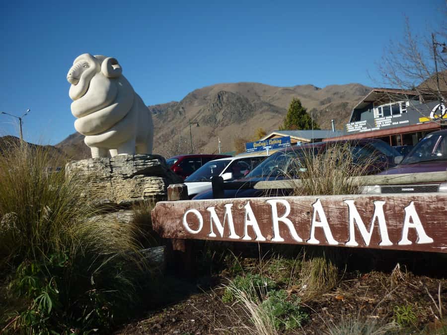 From Queenstown: Mount Cook Heli-Hike and Bus Tour Combo - Who should book this day?