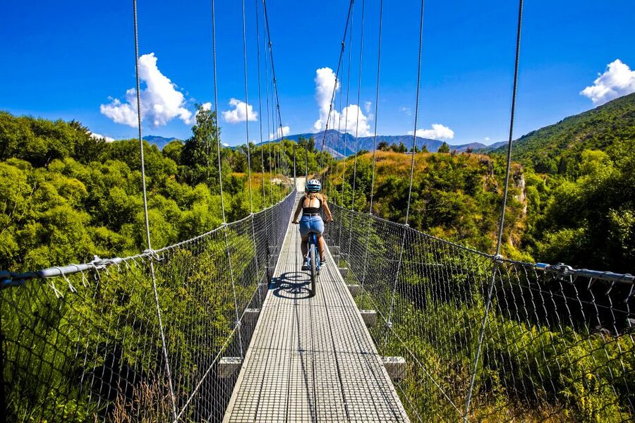 From Queenstown: 'Valley of the Vines' Wine and Bike Tour - Key points to know before you book