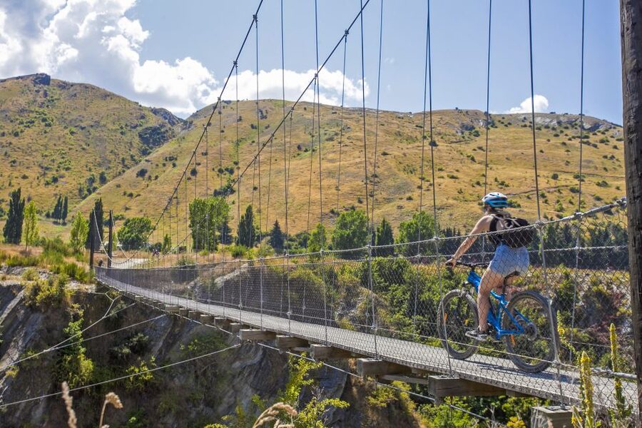 From Queenstown: 'Valley of the Vines' Wine and Bike Tour - Who will enjoy this ride most?