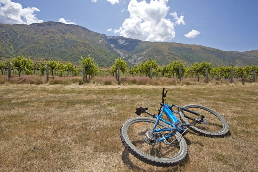 From Queenstown: 'Valley of the Vines' Wine and Bike Tour - Should you book the Valley of the Vines ride?