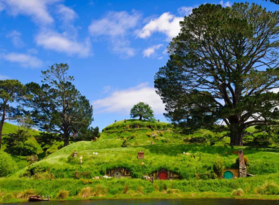 From Rotorua: Hobbiton Movie Set Tour with Festive Lunch - Walking among the Hobbit holes