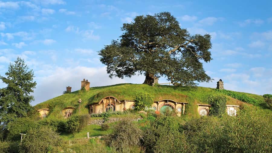 From Rotorua: Hobbiton Movie Set Tour with Festive Lunch - How much time you really have