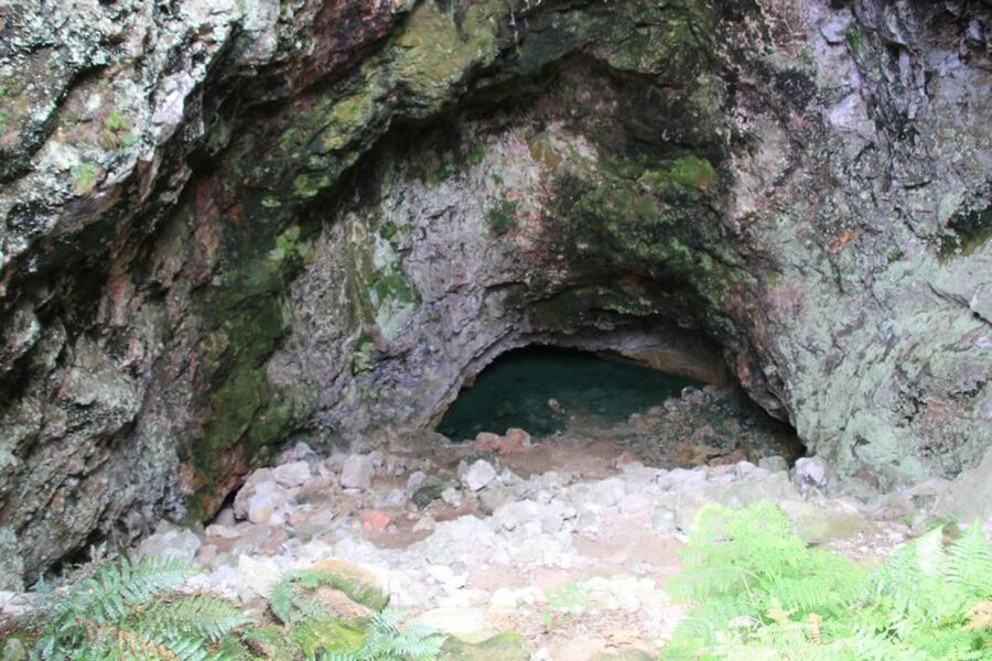 From Rotorua: Taupo Day Trip with Orakei Korako or Waiotapu - Small group advantages and limits
