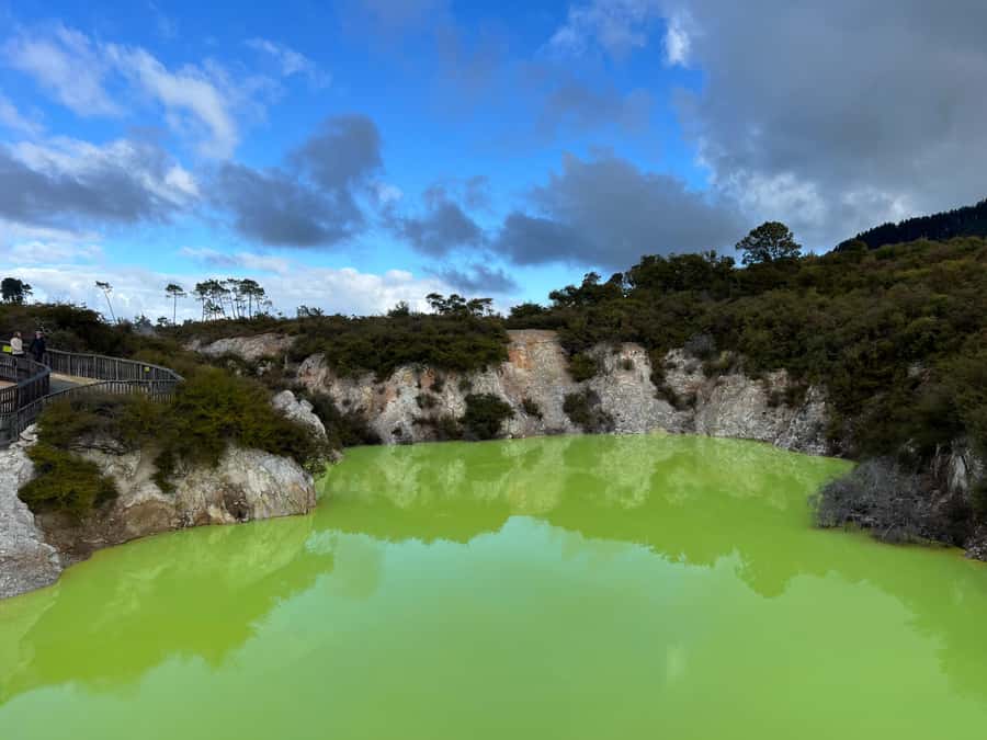 From Rotorua: WAI-O-TAPU Geothermal Wonderland Half-Day Tour - The drive into Rotorua’s geothermal country