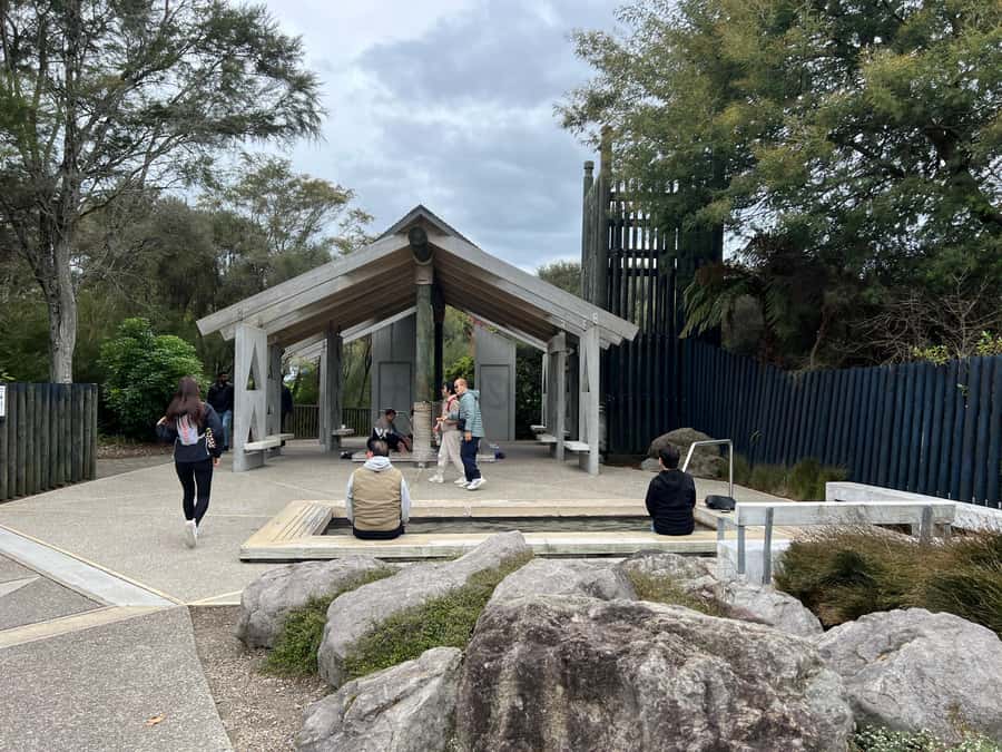 From Rotorua: WAI-O-TAPU Geothermal Wonderland Half-Day Tour - Returning through Rotorua and Lake Rotorua