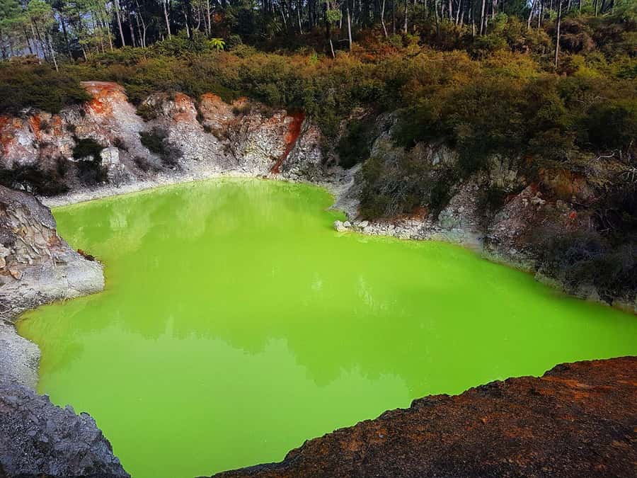 From Rotorua: Wai-O-Tapu, Waimangu and Te Puia Full-Day Tour - The guide can make or break the experience