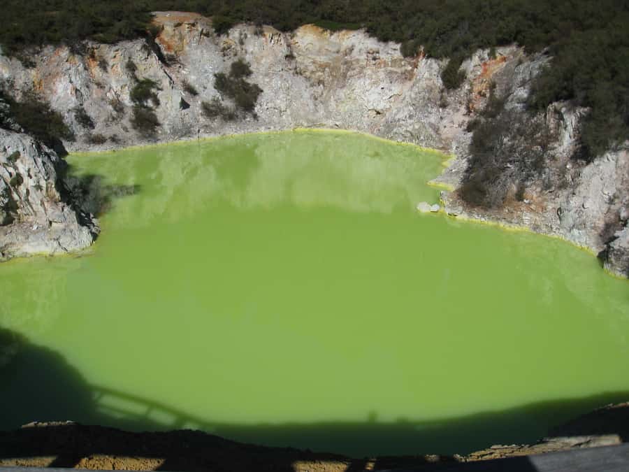 From Rotorua: Wai O Tapu & Waimangu Eco Thermal Morning Tour - Wai-O-Tapu: colour, mud, and geothermal force