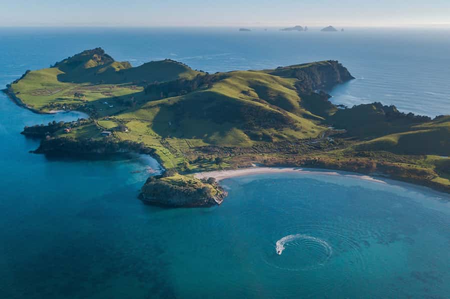 From Tairua: 2 Hour Cathedral Cove Tour with Local Guide - A possible swim in Te Whanganui a Hei Marine Reserve