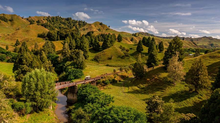From Taumarunui: The Republic Rail Cart Adventure - Key points to know before you book