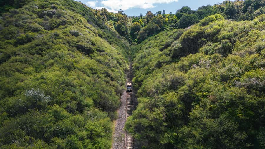 From Taumarunui: The Republic Rail Cart Adventure - Why driving the cart changes the experience