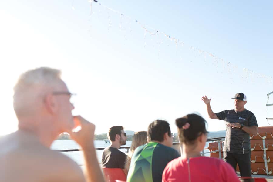 From Tauranga: Dolphin and Wildlife Cruise - The crew and the value of the commentary