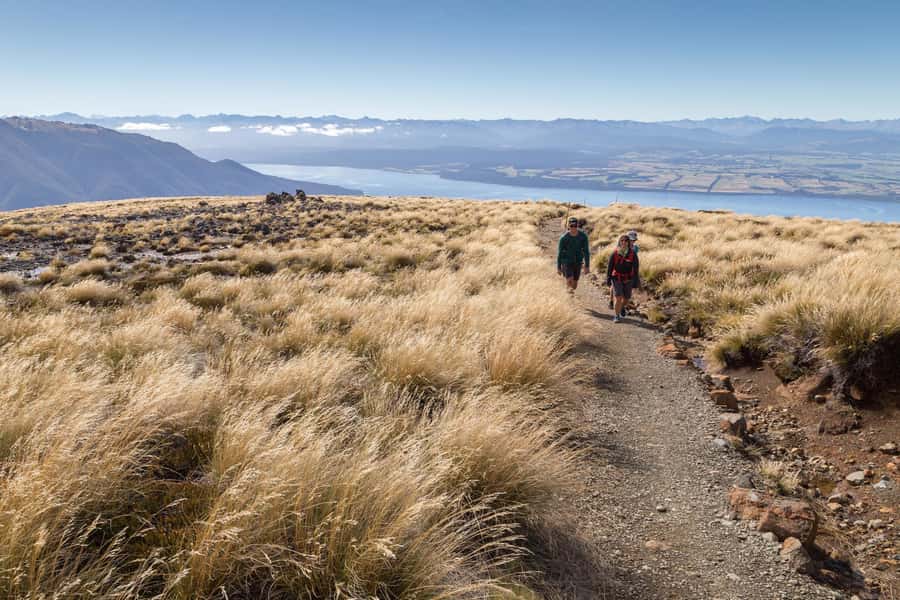 From Te Anau: Full Day Kepler Track Guided Heli-Hike - Key points at a glance