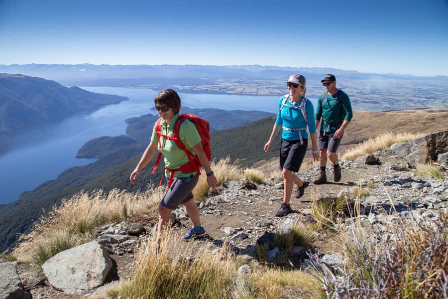 From Te Anau: Full Day Kepler Track Guided Heli-Hike - The long descent through beech forest