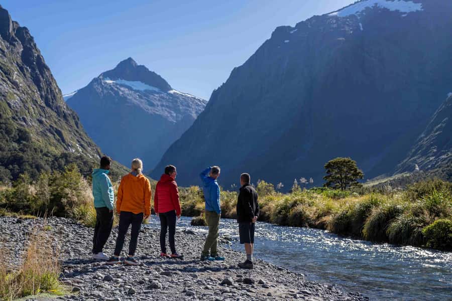 From Te Anau: Milford Sound Coach, Cruise, and Walks - Why this Te Anau departure makes sense