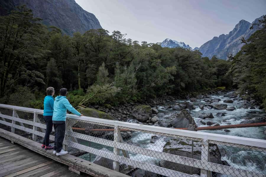 From Te Anau: Milford Sound Coach, Cruise, and Walks - Hollyford Valley, Lake Gunn, and the forest stops