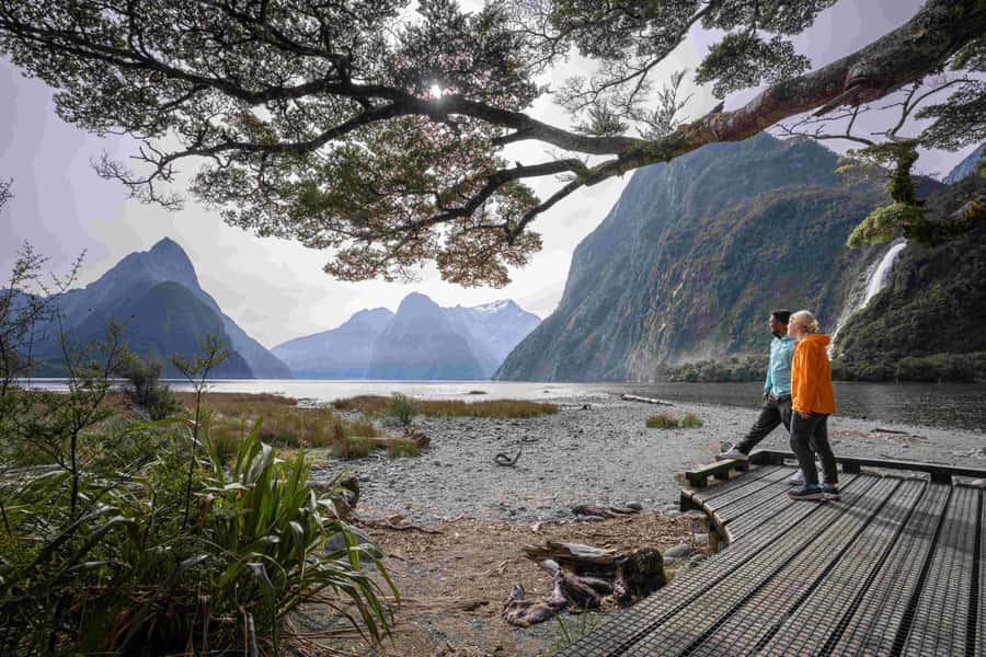 From Te Anau: Milford Sound Coach, Cruise, and Walks - The two-hour cruise into Milford Sound
