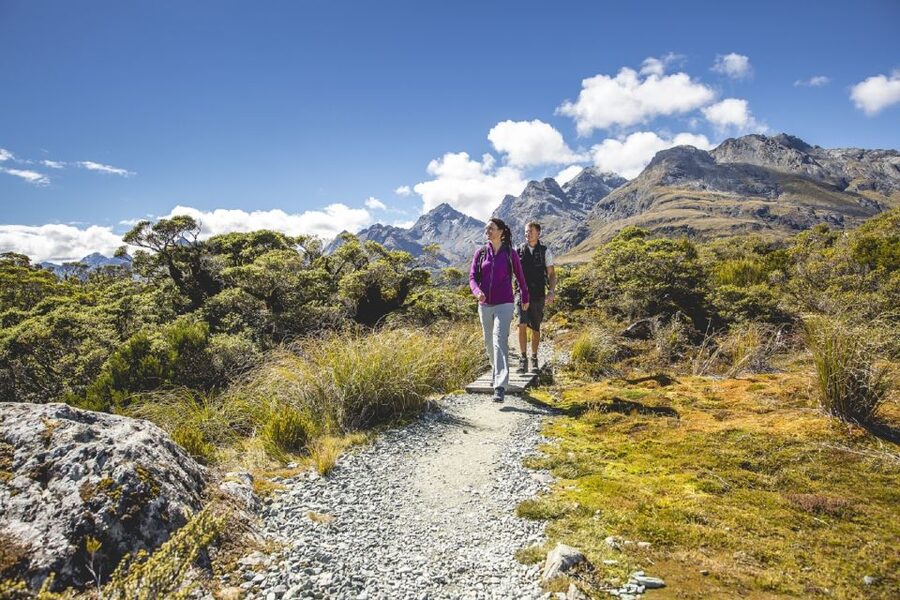 From Te Anau: Milford Sound Coach, Cruise, and Walks - Who should book this day trip?