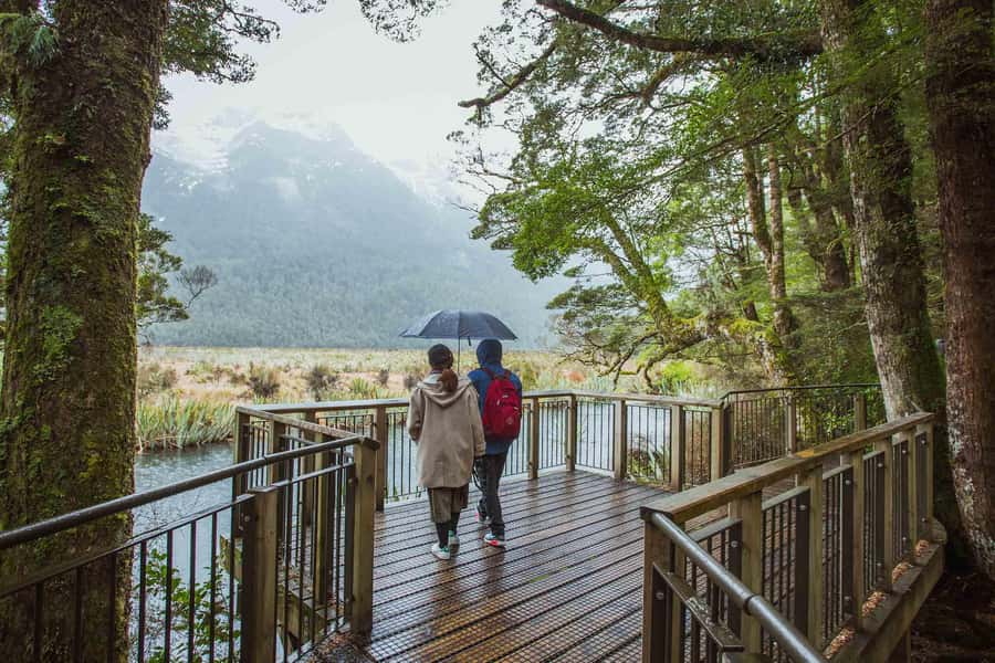 From Te Anau: Milford Sound Coach Tour and Cruise - The last road section is the dramatic one