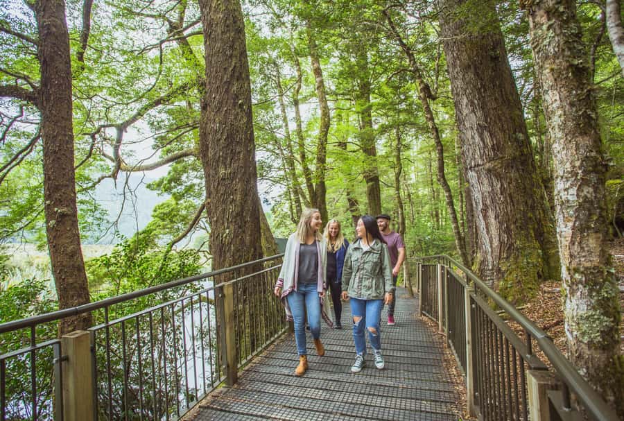 From Te Anau: Milford Sound Coach Tour and Cruise - The picnic lunch is simple and useful