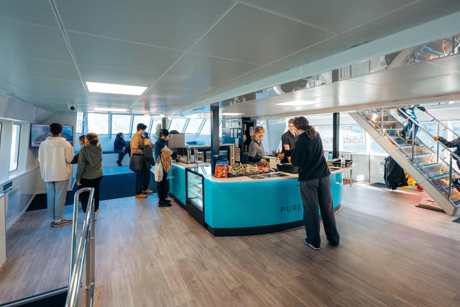 From Te Anau: Milford Sound Coach Tour and Cruise - Is $110 good value?