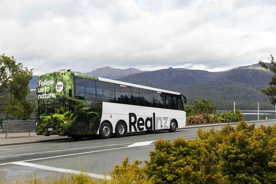 From Te Anau: Milford Sound Cruise and Coach Day Trip - The guides make a real difference