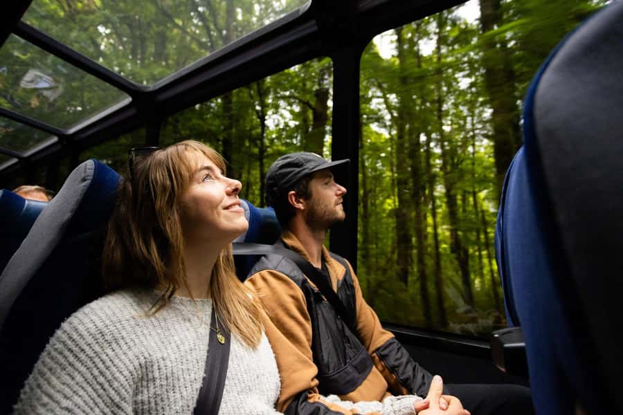 From Te Anau: Milford Sound Cruise and Coach Day Trip - Check-in and practical planning