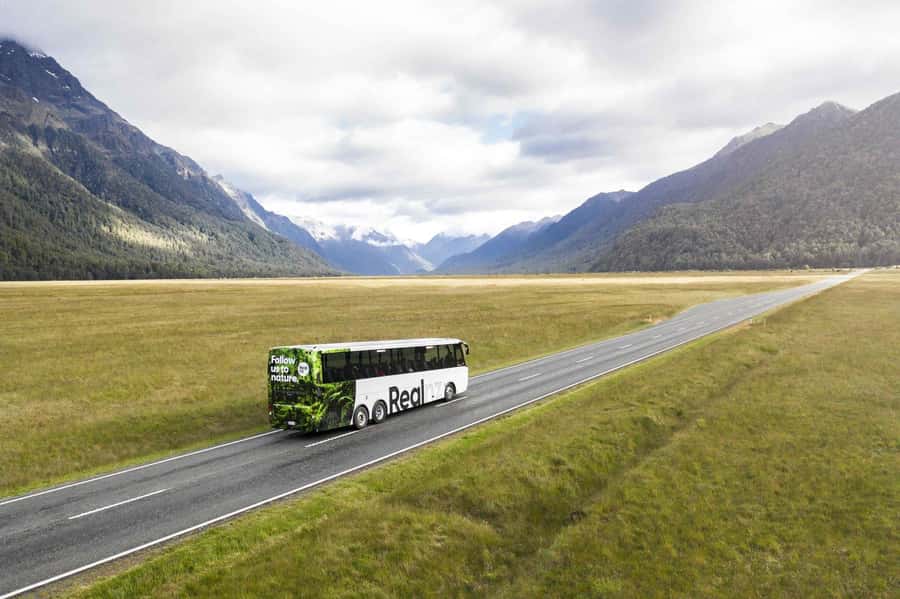 From Te Anau: Milford Sound Cruise and Coach Day Trip - The 2.5-hour ride through Fiordland