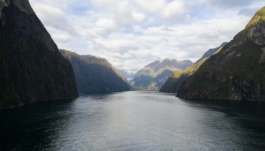 From Te Anau: Milford Sound Cruise & Scenic Coach Tour - Guide quality can shape the whole experience