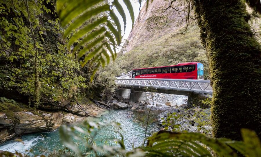 From Te Anau: Milford Sound Premium Bus Tour and Cruise - Knobs Flat and Monkey Creek add variety