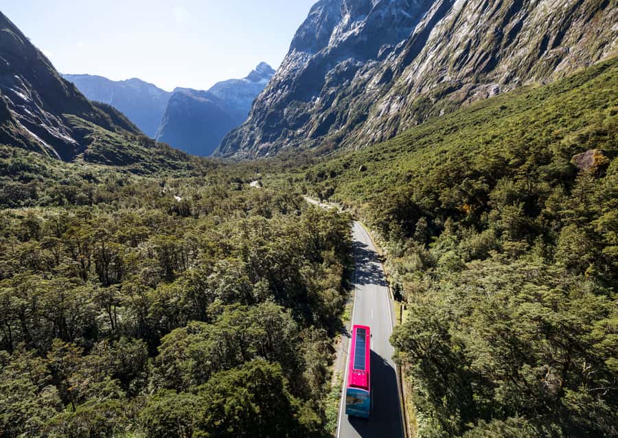 From Te Anau: Milford Sound Premium Bus Tour and Cruise - Arriving at Milford Sound without the parking worry