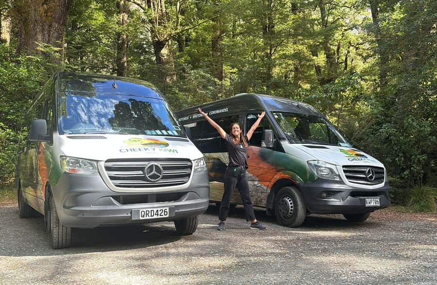 From Te Anau: Milford Sound Small-Group Tour Including Lunch - What the small group changes