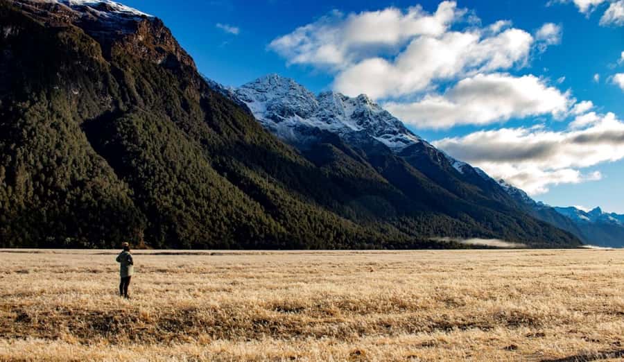 From Te Anau: Milford Sound Small-Group Tour Including Lunch - Homer Tunnel is a real part of the adventure