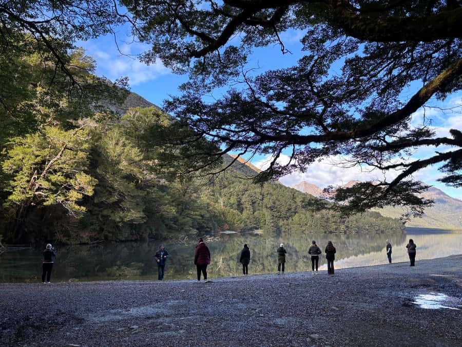 From Te Anau: Milford Sound Small-Group Tour Including Lunch - Lunch keeps the long day simple