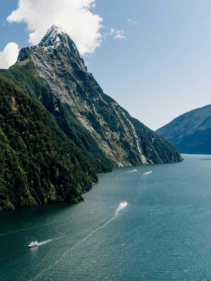 From Wanaka: Milford Sound Flight with Landing & Glaciers - Landing at Milford Sound for a closer look