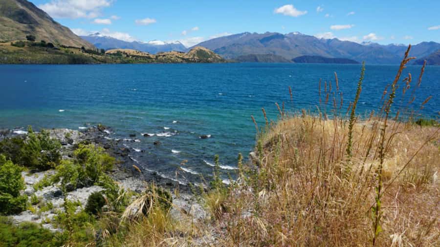 From Wanaka: Ruby Island 1-Hour Cruise and Photo Walk - Boarding Near the Old Town Jetty