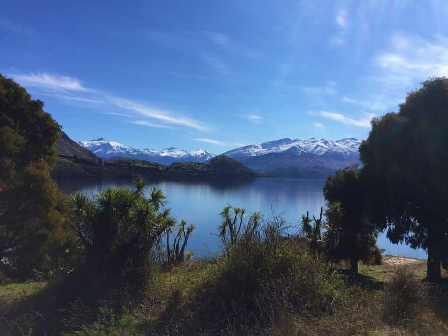 From Wanaka: Ruby Island 1-Hour Cruise and Photo Walk - The 20-Minute Walk and the Island Story
