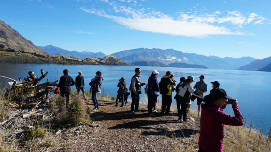 From Wanaka: Ruby Island 1-Hour Cruise and Photo Walk - The Return Cruise to Wanaka