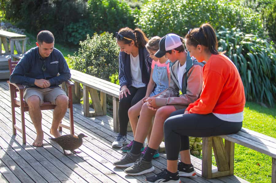 From Wellington: Kapiti Island Classic Guided Day Tour - From Wellington to Paraparaumu Beach