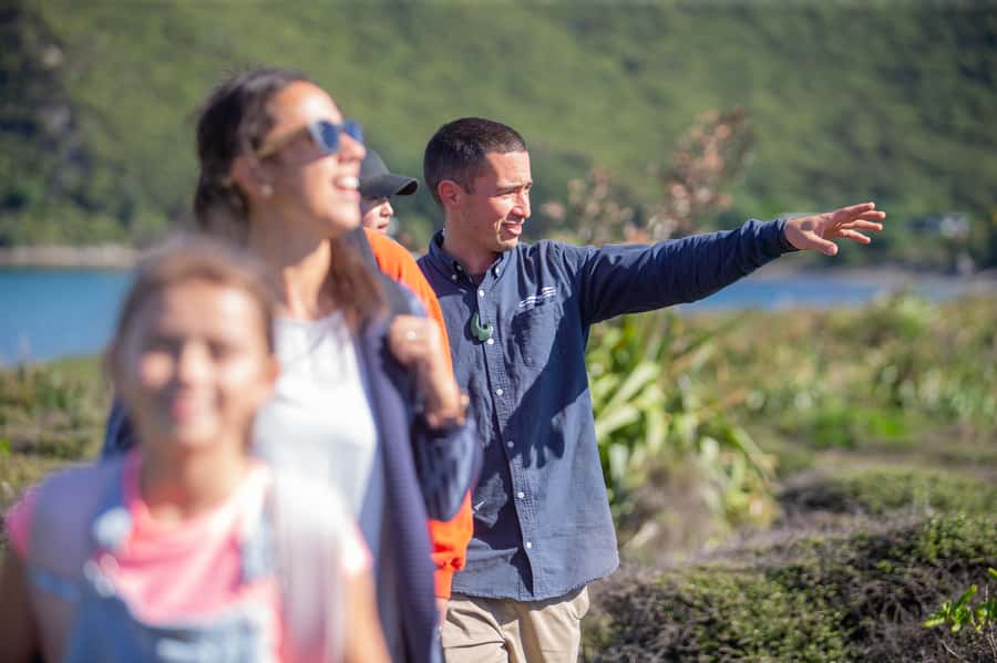 From Wellington: Kapiti Island Classic Guided Day Tour - A guided walk through a protected island