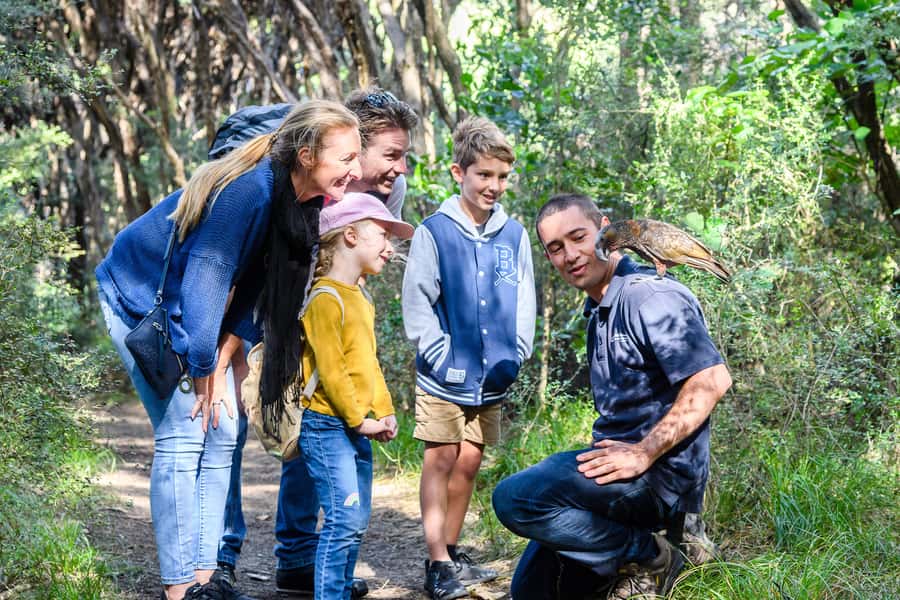 From Wellington: Kapiti Island Classic Guided Day Tour - Who will enjoy this Kapiti Island tour