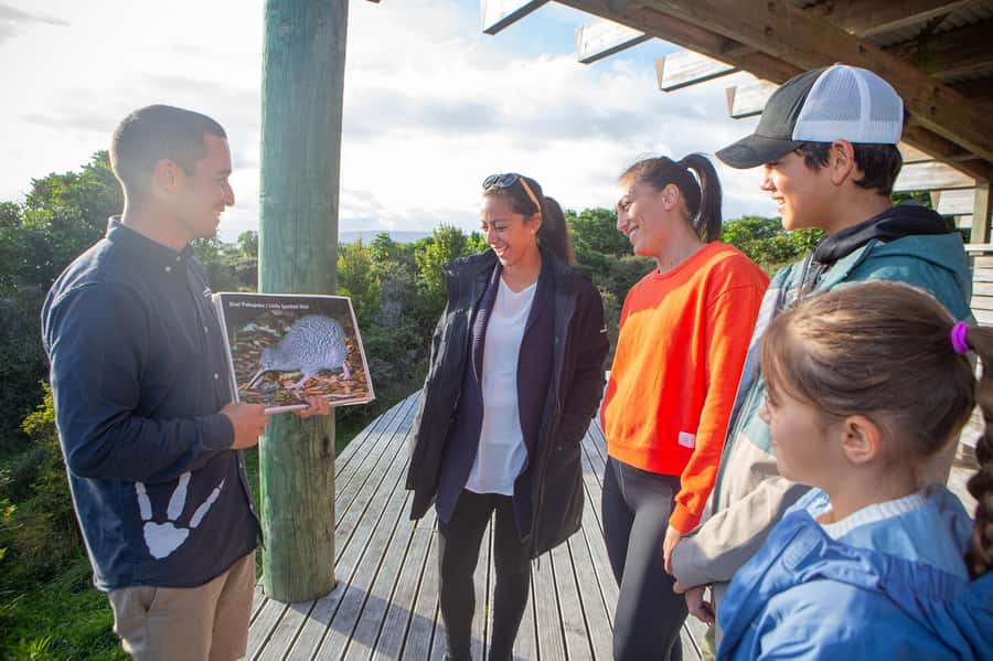 From Wellington: Kapiti Island Classic Guided Day Tour - Booking details worth checking