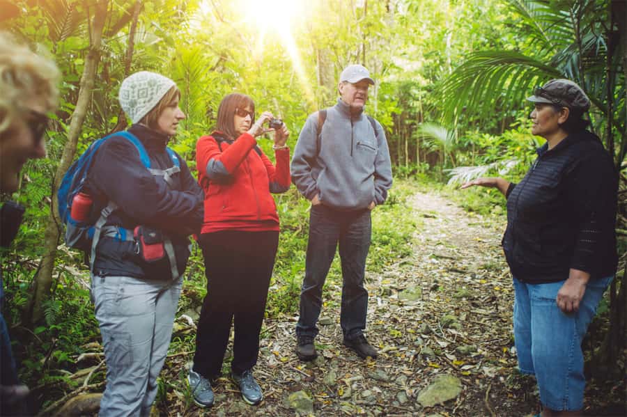 From Wellington: Kapiti Island Classic Guided Day Tour - The ferry crossing to Waiorua Bay