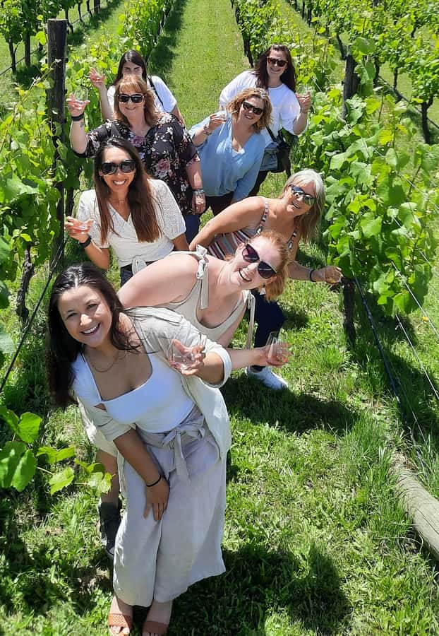 From Wellington: Martinborough Winery Tour - Key points to know before booking